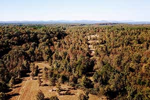 Buckingham County Va Land for Sale