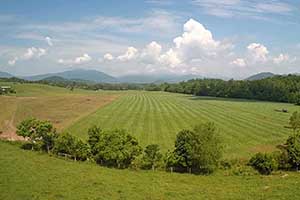 Greene County Va Land for Sale