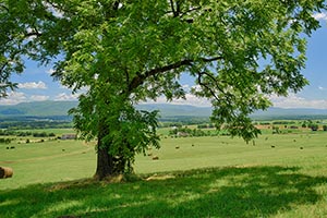 Augusta County VA land for Sale 