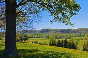 James River land in Nelson County Virginia