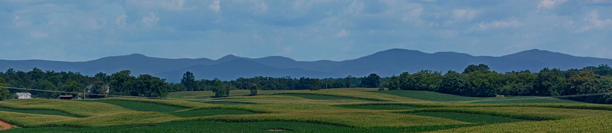 Buying Land in Virginia