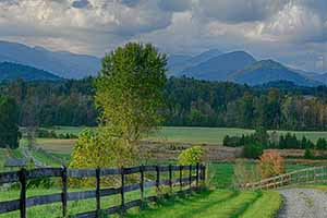 Gayle Harvey Real Estate in Charlottesville VA