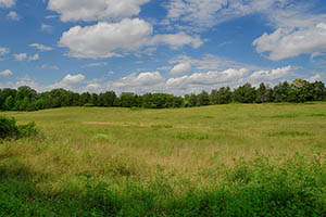 Albemarle County Va Land for Sale