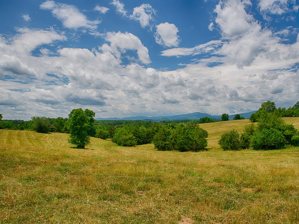 Madison County Virginia Land for Sale